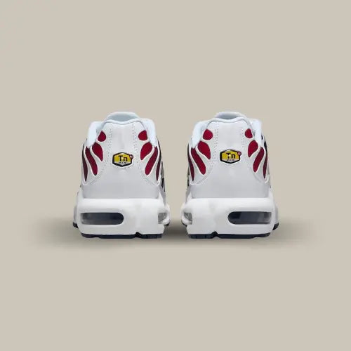 Nike Air Max Plus TN PSG — image du produit