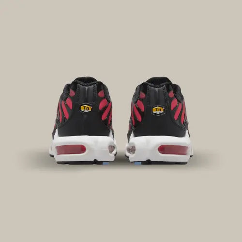 Nike Air Max Plus TN University Blue Light Crimson — image du produit