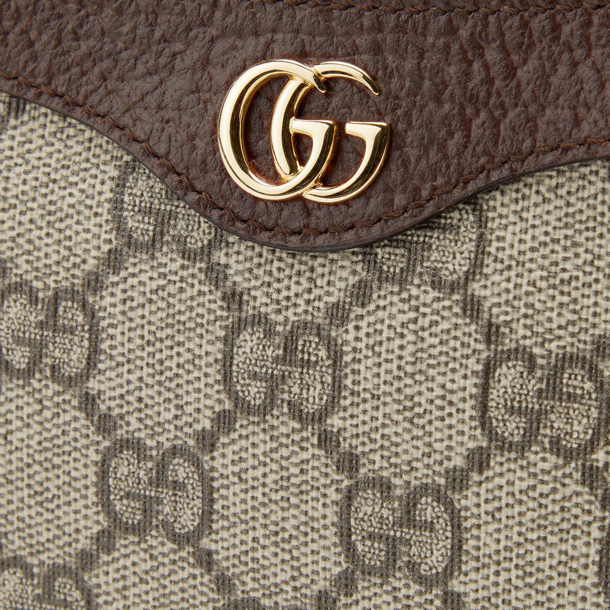 Sac Ophidia mini format — image 5