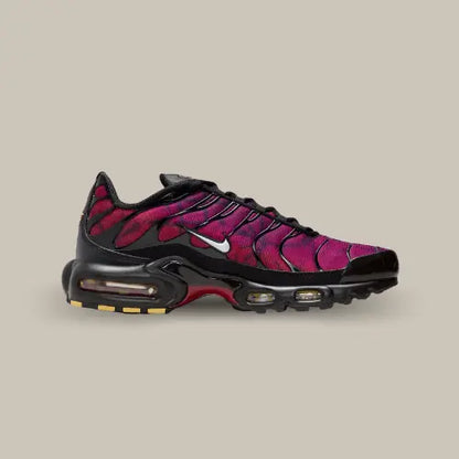 Nike Air Max Plus 25th Anniversary — image du produit