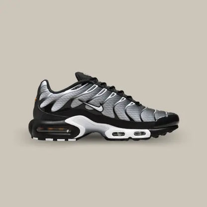 Nike Air Max Plus TN Black Grey — image du produit