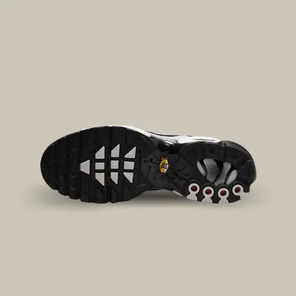 Nike Air Max Plus TN Black Grey — image du produit