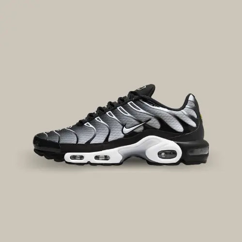 Nike Air Max Plus TN Black Grey — image du produit