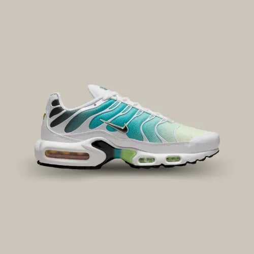 Nike Air Max Plus Dusty Cactus Barely Volt — image du produit