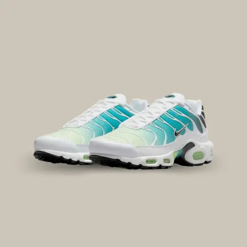 Nike Air Max Plus Dusty Cactus Barely Volt — image du produit