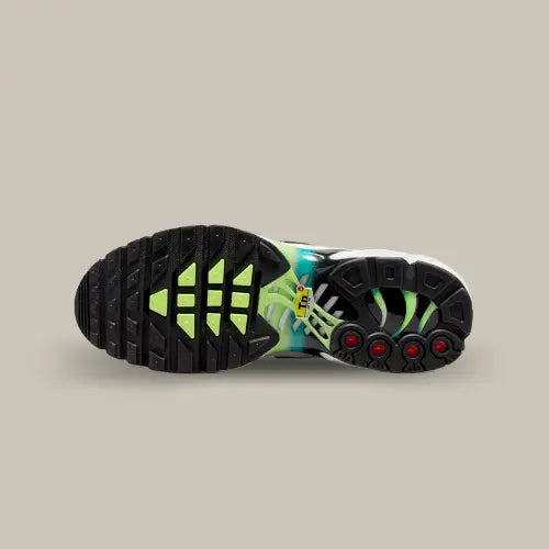 Nike Air Max Plus Dusty Cactus Barely Volt — image du produit