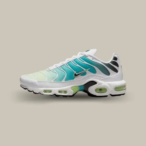 Nike Air Max Plus Dusty Cactus Barely Volt — image du produit