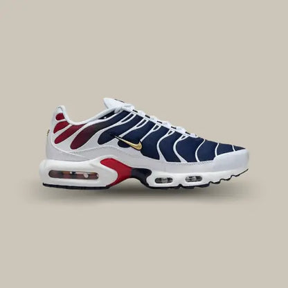 Nike Air Max Plus TN PSG — image du produit