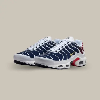 Nike Air Max Plus TN PSG — image du produit