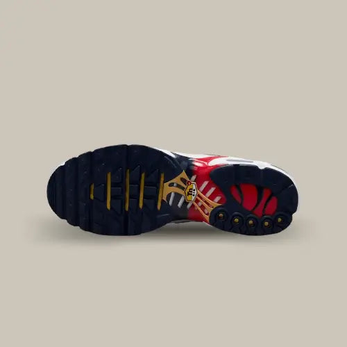 Nike Air Max Plus TN PSG — image du produit