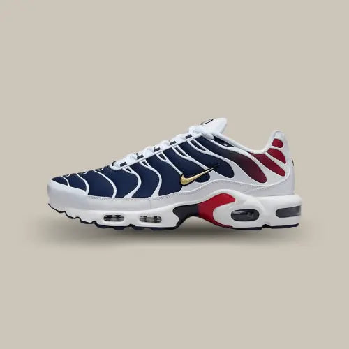 Nike Air Max Plus TN PSG — image du produit