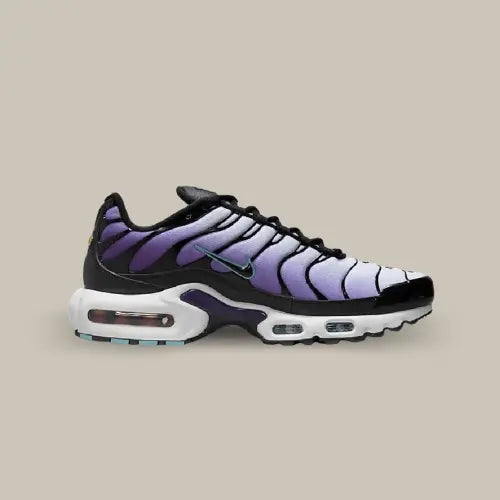 Nike Air Max Plus TN Reverse Grape — image du produit