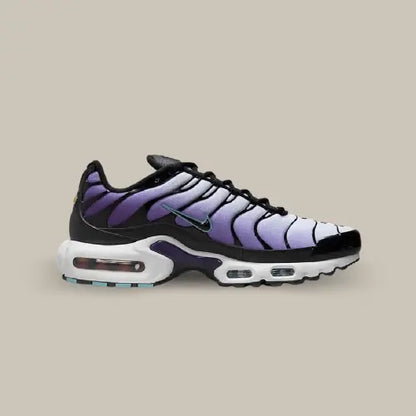Nike Air Max Plus TN Reverse Grape — image du produit