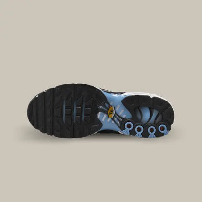 Nike Air Max Plus TN University Blue Light Crimson — image du produit