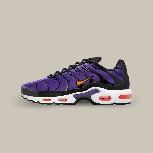 Nike Air Max Plus TN Voltage Purple — image du produit